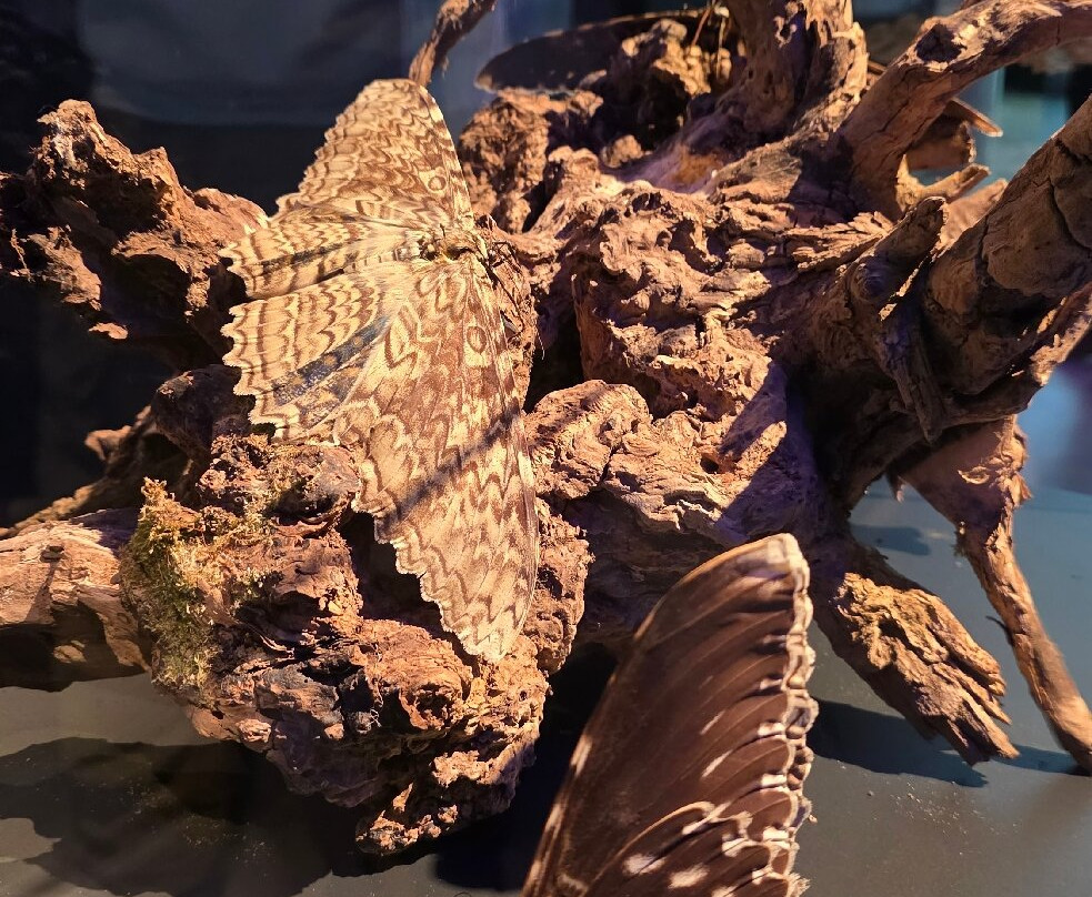 Gasometer Pforzheim-普福尔茨海姆必去景点