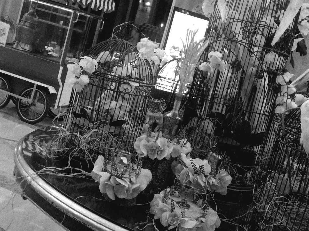 NG Afyon Wellness & Convention主图