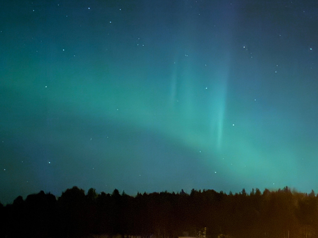 Openlappland-Amsele必去景点