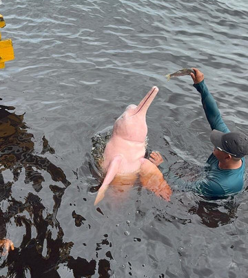 Rainforest Cruises-迈阿密海滩必去景点