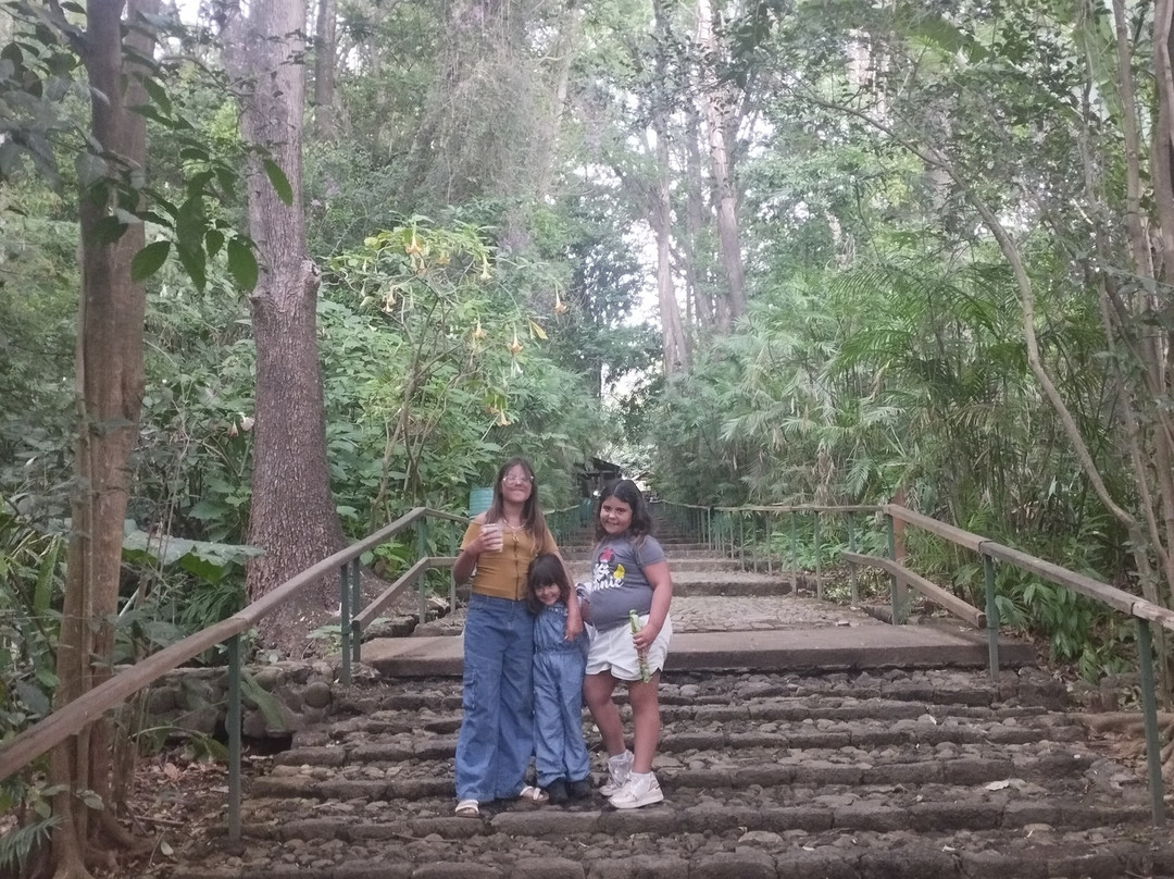 Parque Nacional Barranca del Cupatitzio-Uruapan必去景点
