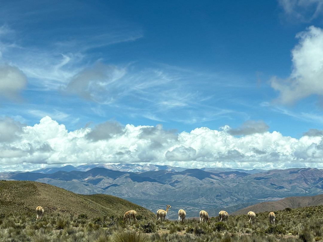 DESTINO SALTA-萨尔塔必去景点