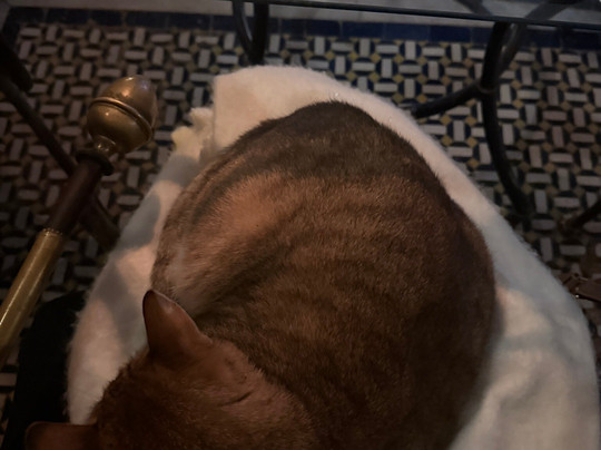 Kassr Annoujoum Ducci Foundation-非斯必去景点