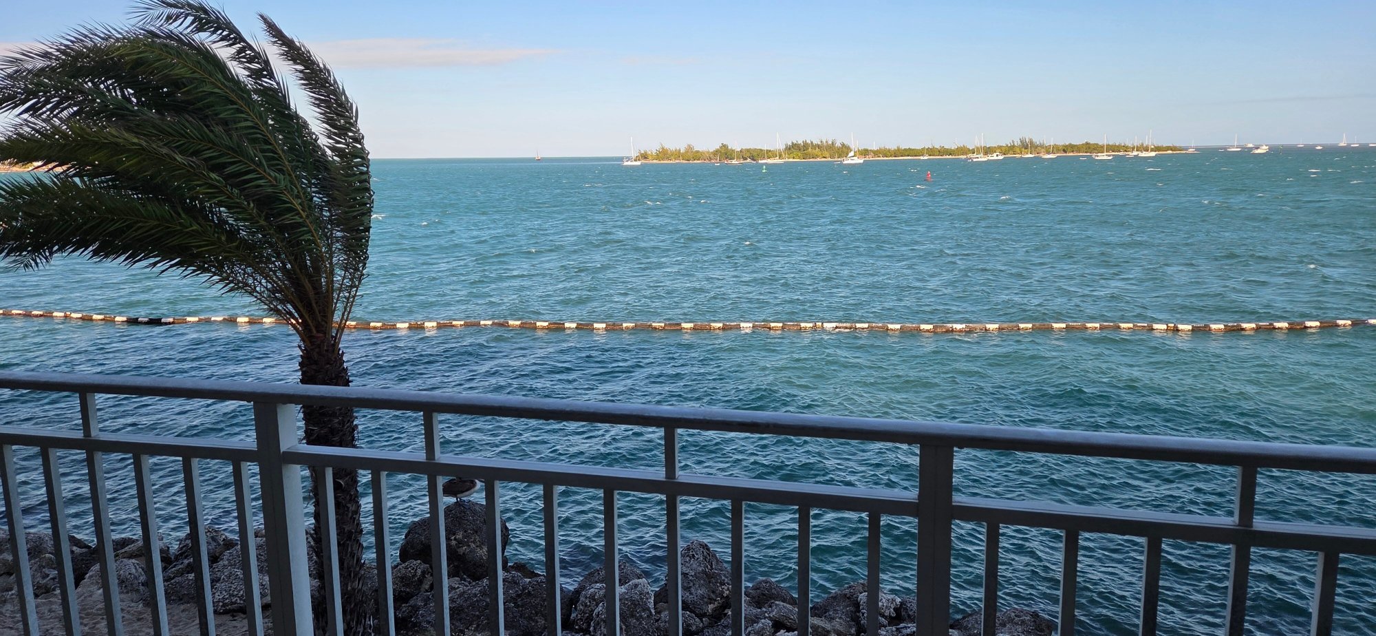 码头屋Spa度假酒店-酒店景观