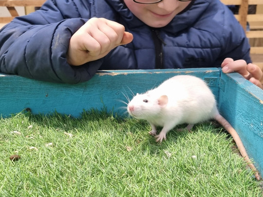 Monk Park Farm-Bagby必去景点