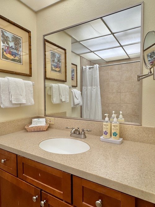 雅诗顿卡阿纳帕利海岸酒店-浴室