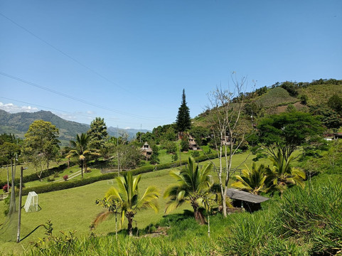 Pura Vida Alojamiento, Rio & Glamping