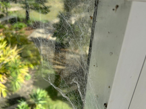 椒盐贝尔度假村主图