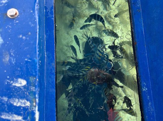 Galu tides tours and safaris-Galu Beach必去景点