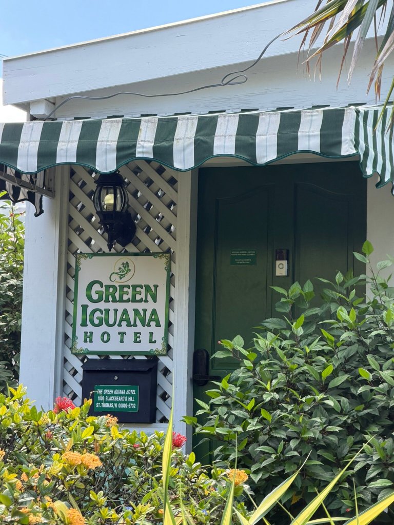 The Green Iguana Hotel-官方