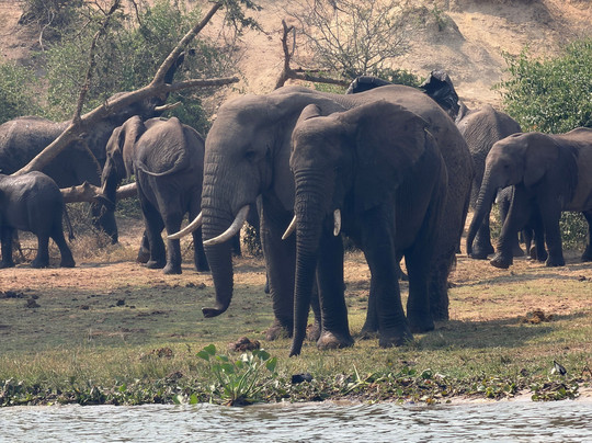 Kazinga Channel-伊丽莎白女王国家公园必去景点