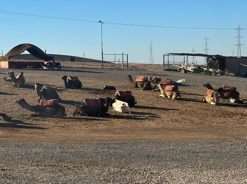 Marrakech WITH Locals-马拉喀什必去景点