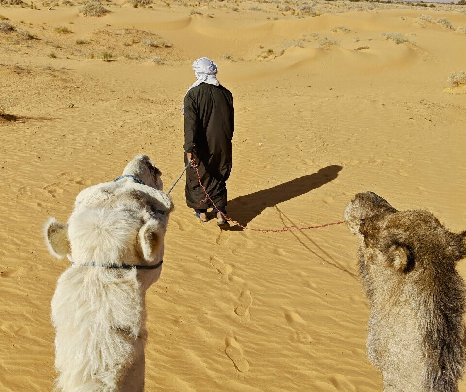 Discover Ghardaia Travel Agency-盖尔达耶必去景点