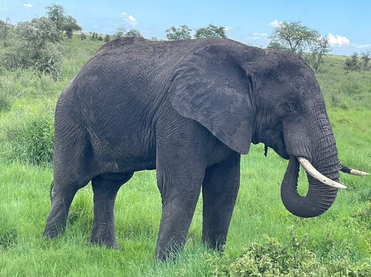 Trek Africa Expeditions-Lyamutundwe必去景点