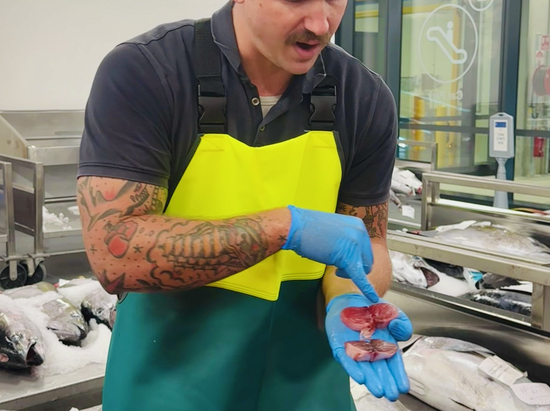 Behind the Scenes at Sydney Fish Market-悉尼必去景点