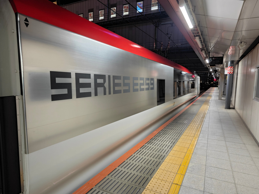 Narita Express (NEX)-成田市必去景点