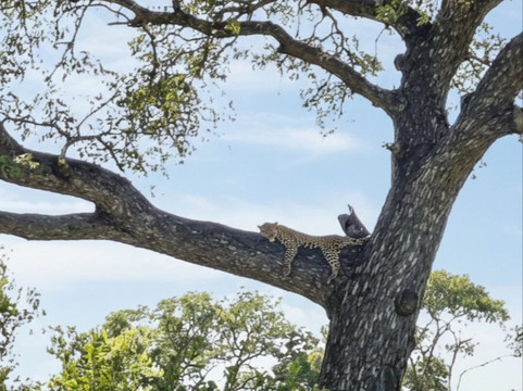 SAFARI, DRIVE & DIVE TOURS-Inhambane必去景点