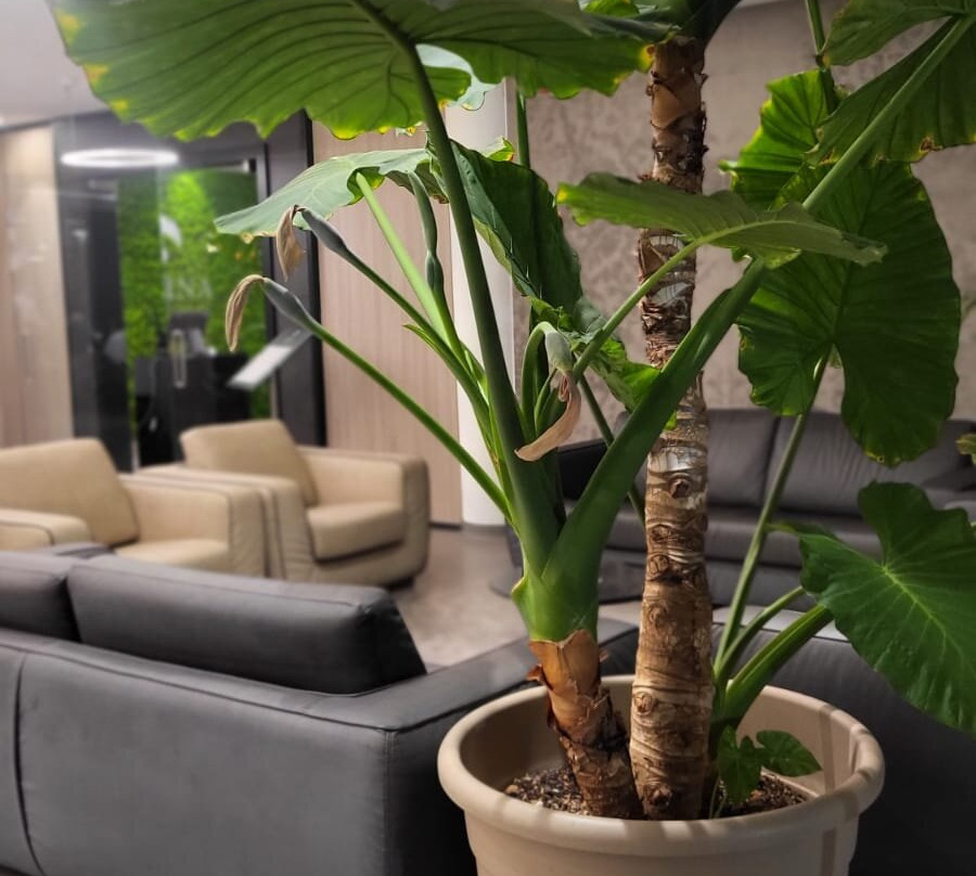 萨利纳酒店主图