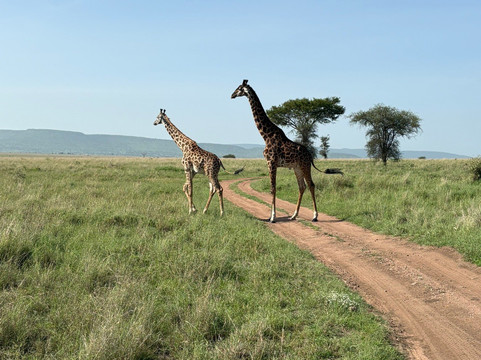 Visit Natives-Kautokeino必去景点