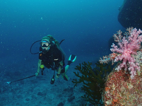 夏基潜水中心-卡伦必去景点