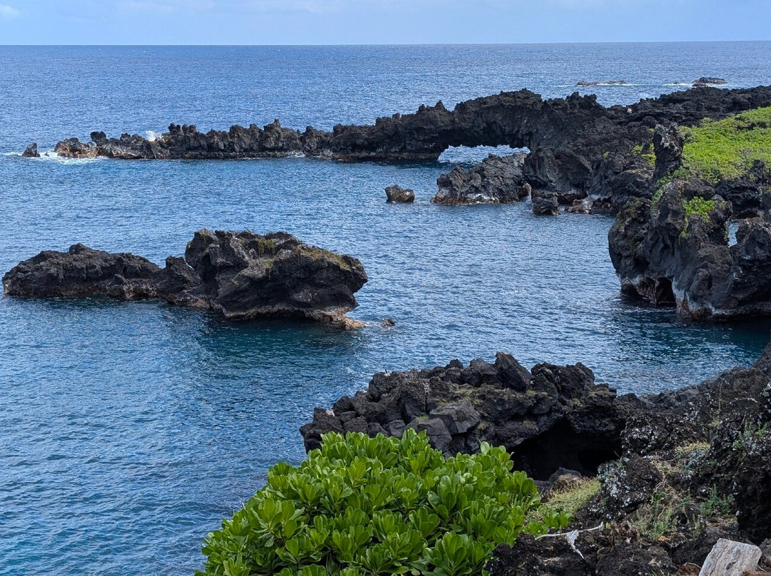 Honokalani Black Sand Beach-哈纳必去景点