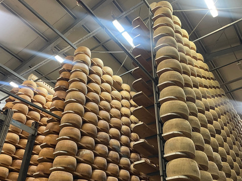 Caseificio Bio Reggiani-Recovato必去景点