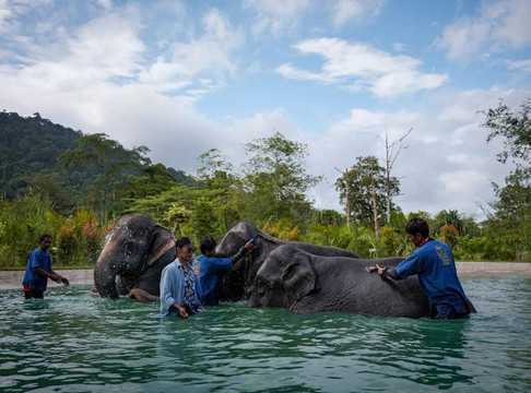 Trunk & Soul Elephant Home