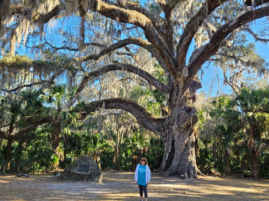 Bulow Creek State Park-奥蒙德海滩必去景点