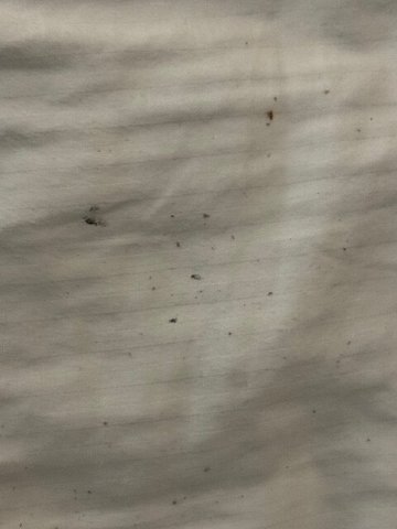 布达佩斯水世界度假村-客卧