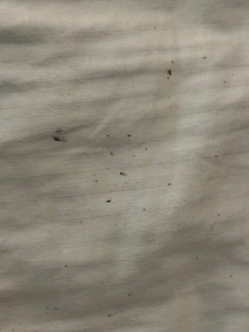 布达佩斯水世界度假村主图