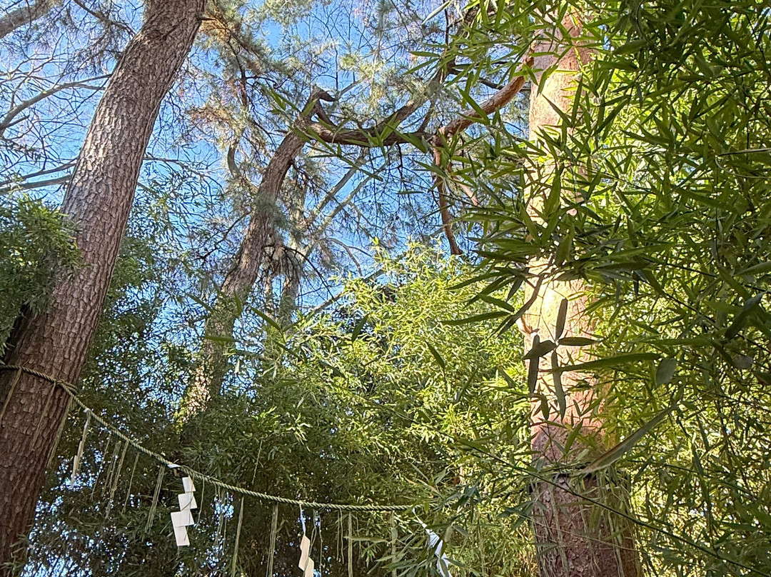Jiyūgaoka Kumano Shrine-Jiyugaoka必去景点