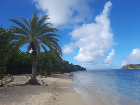 Pigeon Point Beach-英吉利海港必去景点