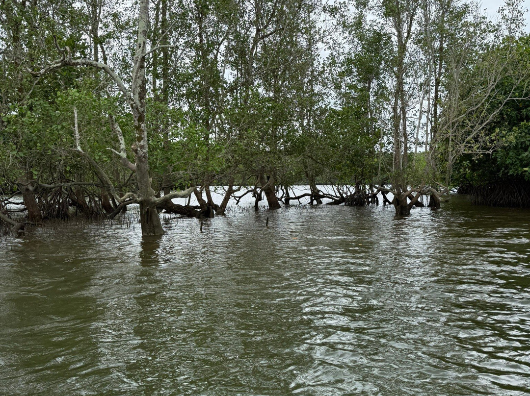 JungleWalla Desaru-本那瓦镇必去景点