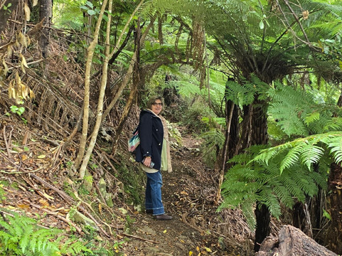 Pelorus Mail Boat-哈夫洛克必去景点