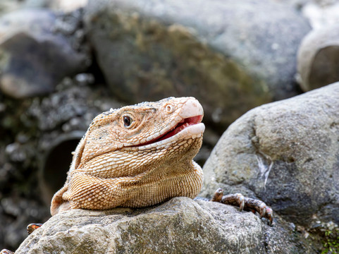 Hacienda Baru Lodge-主日镇必去景点