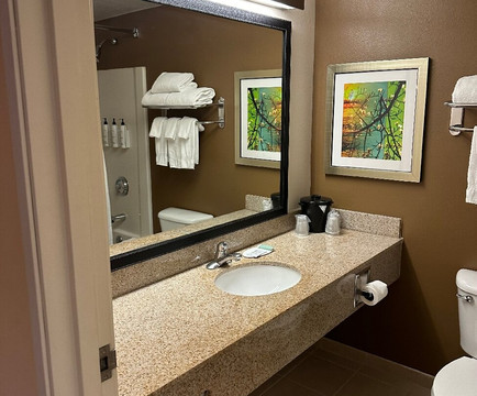 Fairfield Inn & Suites Chicago Lombard主图