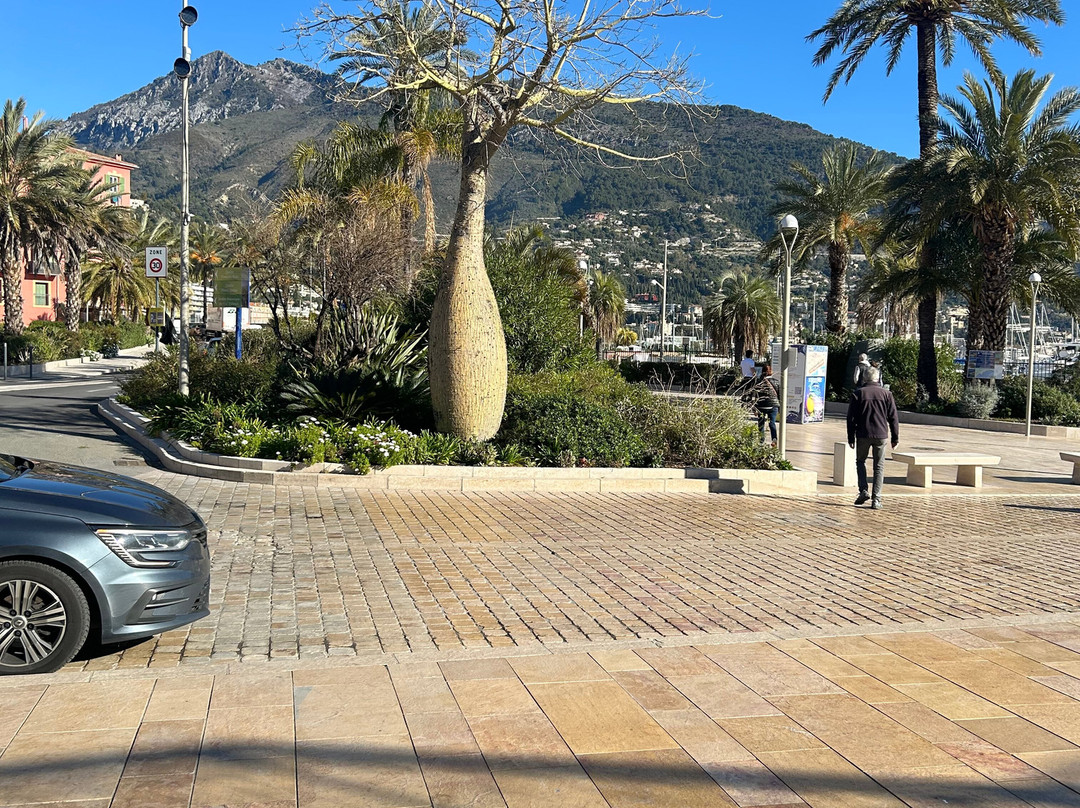 Musee du Bastion-芒通必去景点