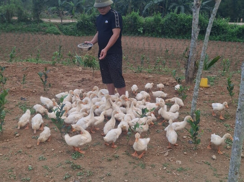 The Duck Stop-Hung Trach必去景点