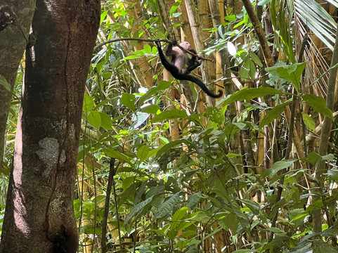 Sierpefrogs-Sierpe必去景点