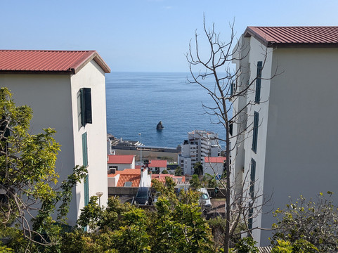 Levada do Piornais-马德拉群岛必去景点