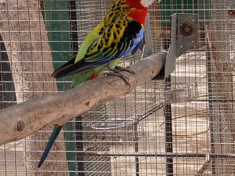 Parc Exotique Du Sénégal-恩加帕鲁必去景点