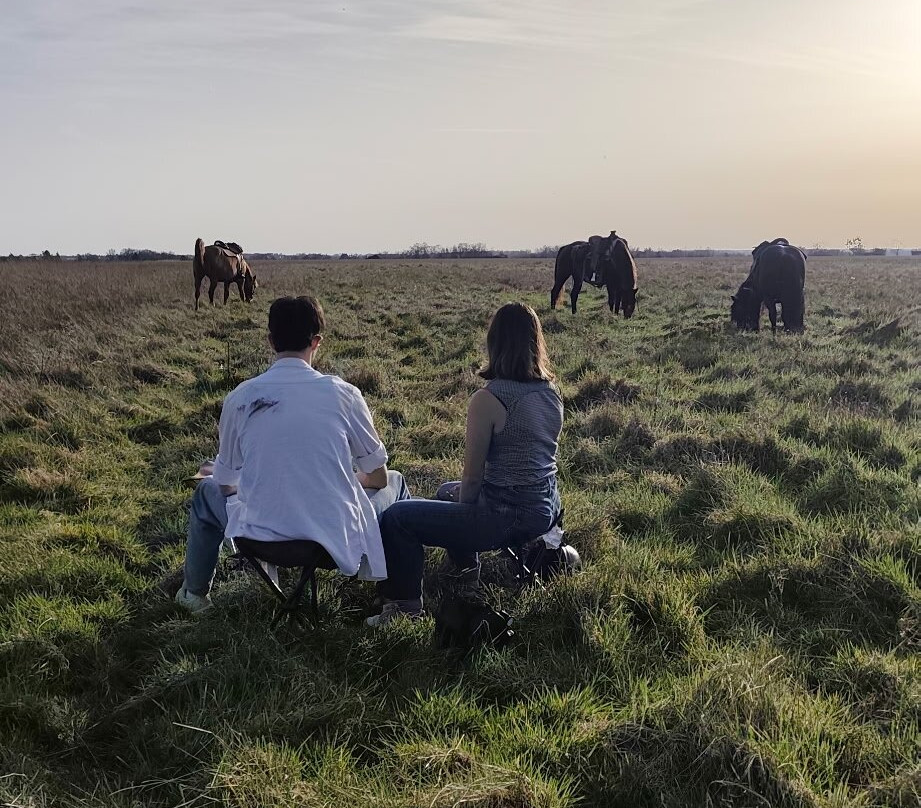 Horse Journey-Saint-Martin-le-Beau必去景点