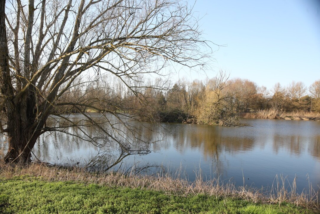 Le Lac de Crissey-Crissey必去景点