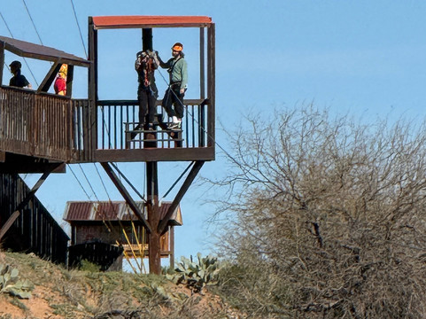 Arizona Zipline Adventures-Oracle必去景点