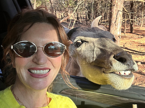 Rocky Ridge Drive Thru Safari-Eustace必去景点