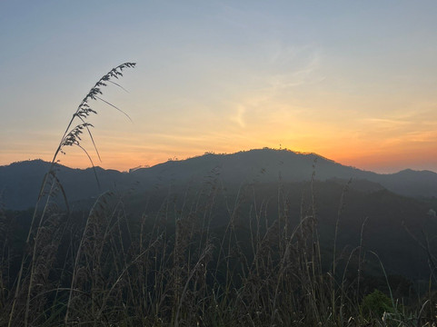 Sri Lanka Dream Tour-尼甘布必去景点