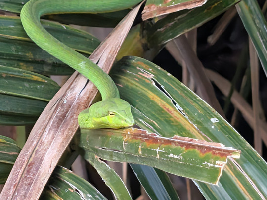 Manu Tours & Travels-亚洪加拉必去景点