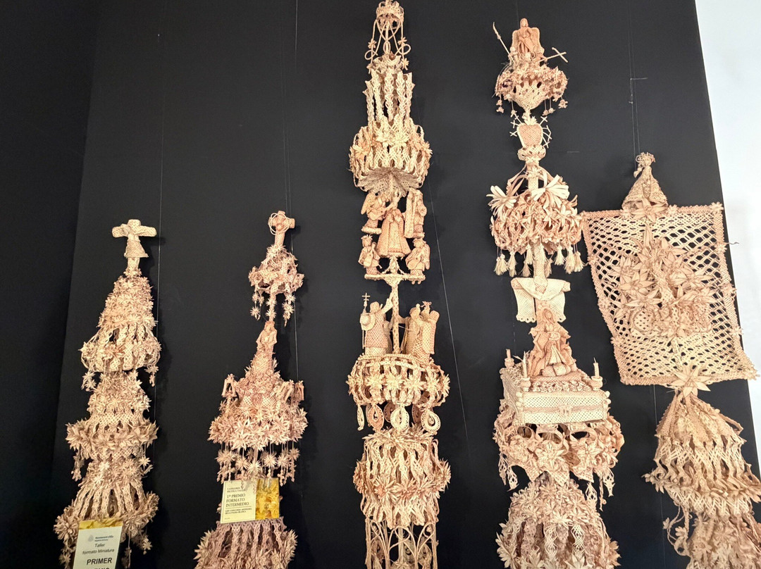 Museu del Palmerar-埃尔切必去景点