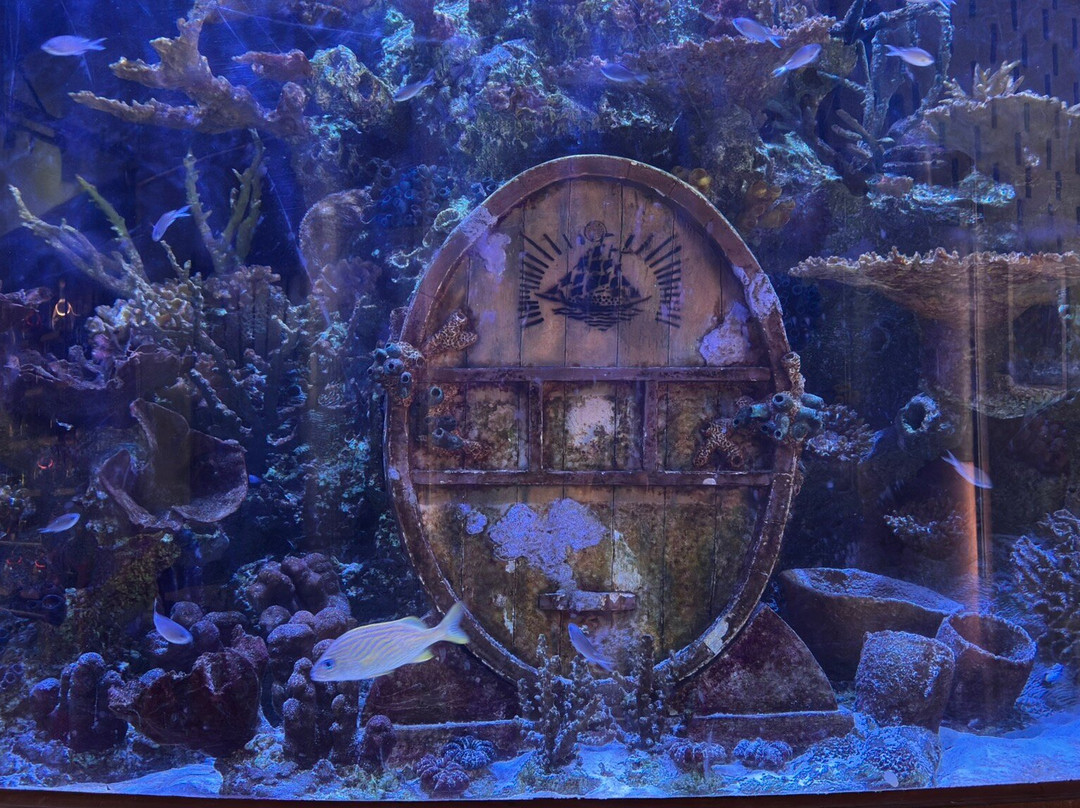 Neisson Distillery (Distillerie Neisson)-马提尼克必去景点