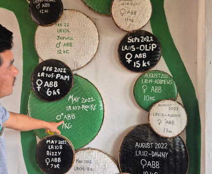 Free the Bears-琅勃拉邦必去景点